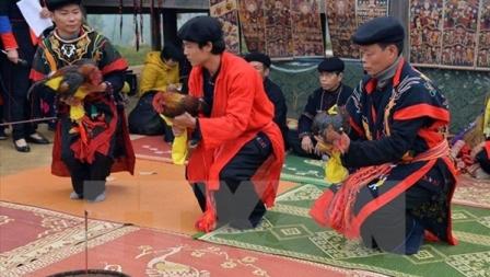 Bientôt la fête «Couleurs du printemps dans l’ensemble du pays»